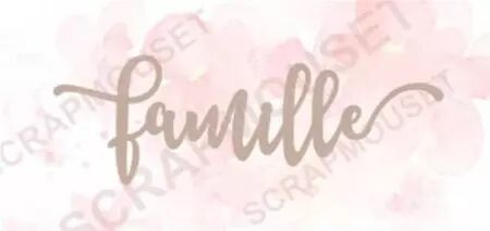 Mot en carton - Famille