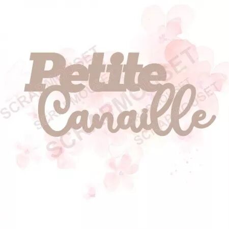 Mot en carton - Petite Canaille
