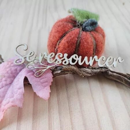 Mot en carton - Se ressourcer