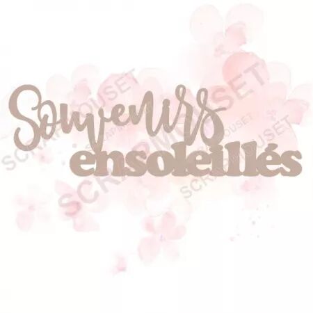 Mot en carton - Souvenirs ensoleillés