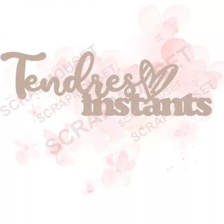 Mot en carton - Tendres instants