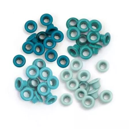 Oeillets - Aqua