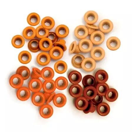 Oeillets - Orange