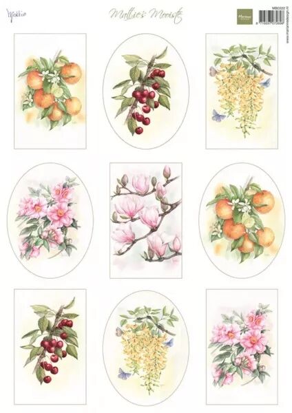 Paier � d�couper - Mattie\'s Mooiste - Fruit & Flowers