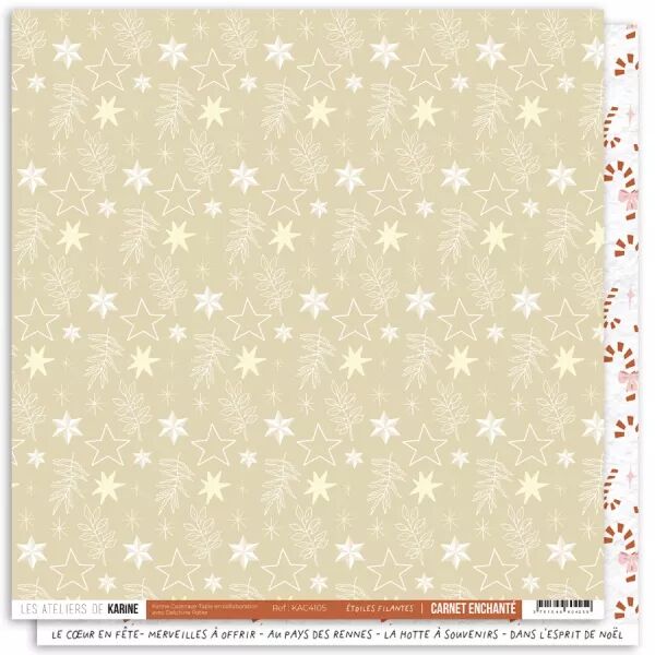 Papier - Carnet Enchant� - 05 - Etoiles filantes - Les Ateliers de Karine
