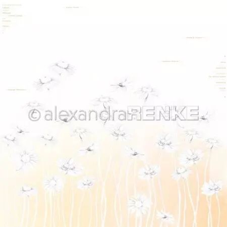 Papier - Daisies