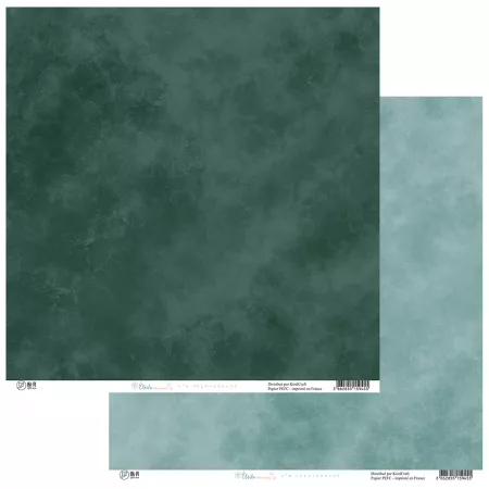 Papier - Etoile des neige - 08 - HA.PI little fox