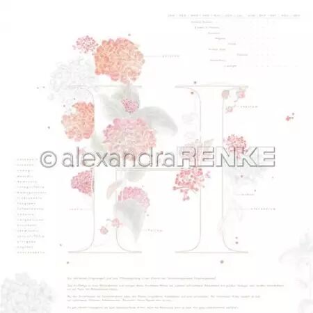Papier - Herbarium - H