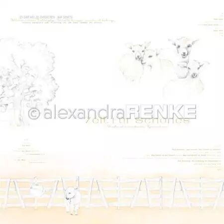 Papier - Lambs