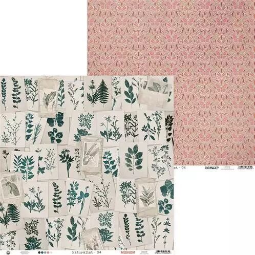 Papier - Naturalist - 04
