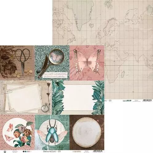 Papier - Naturalist - 05