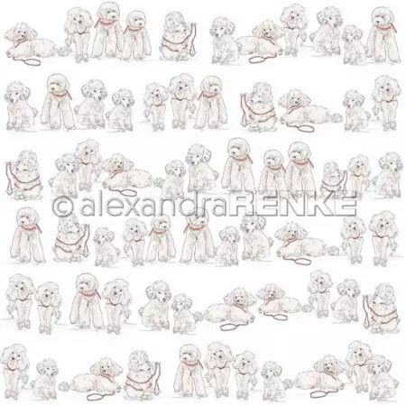 Papier - Summer Story - Poodle in the row