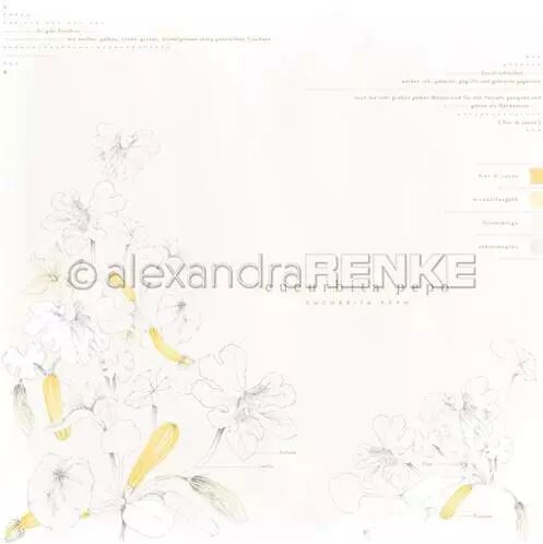 Papier - Veggie Garden - Cucurbita Pepo