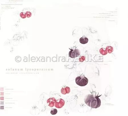 Papier - Veggie Garden - Solanum Lycopersicum