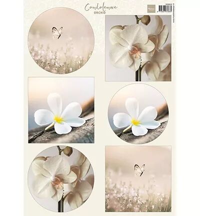 Papier à découper - Orchid- Marianne design