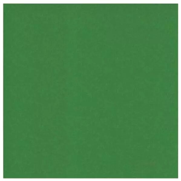 Papier cardstock - Fern Green