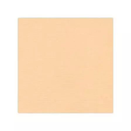 Papier cardstock - Sable