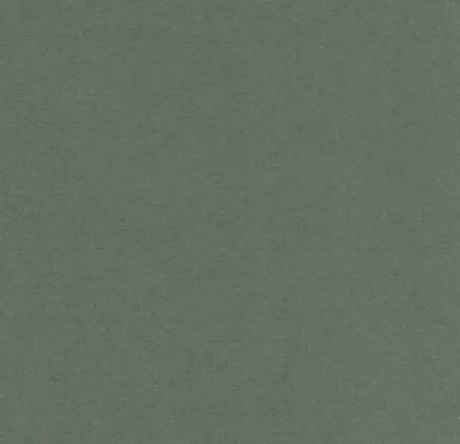 Papier cardstock - Vert basilic