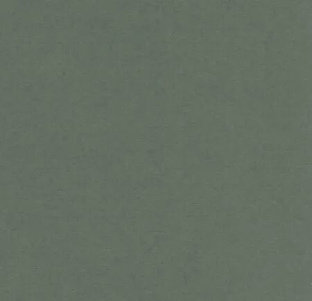 Papier cardstock - Vert basilic