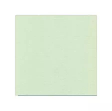 Papier cardstock - Vert clair