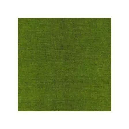Papier cardstock - Vert de No�l