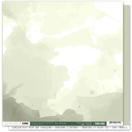 Papier Faux uni Pura vida BTB 10 \ Vert clair\  - Pura Vida - Ateliers de Karine