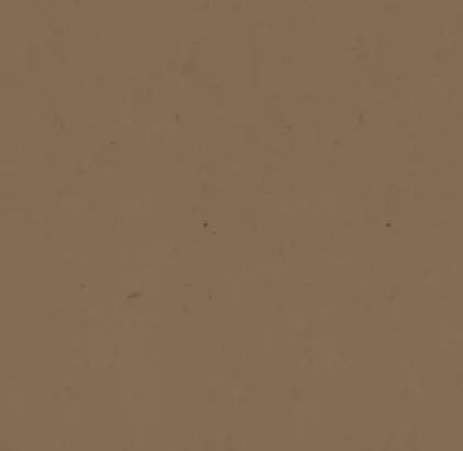 Papier Kraft - Lisse
