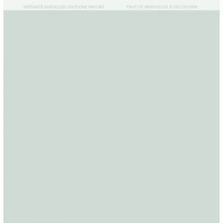 Papier uni DUO OPALINE - Horizons - Floril&egrave;ges Design