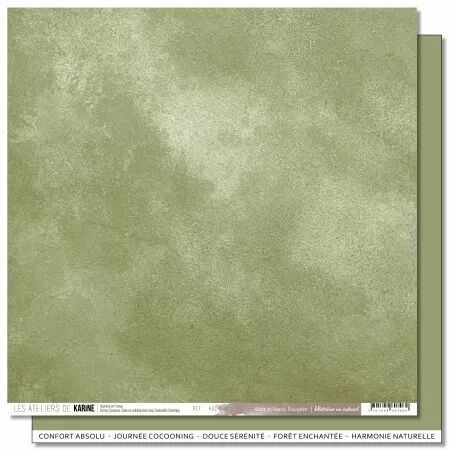 Papier Uni Faux-uni - BTB 10 - Foug&egrave;re - Histoires au Naturel - Ateliers de Karine