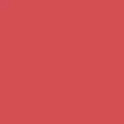 Paquet de 25 BAZZILL - Card shoppe Lisse - Hibiscus