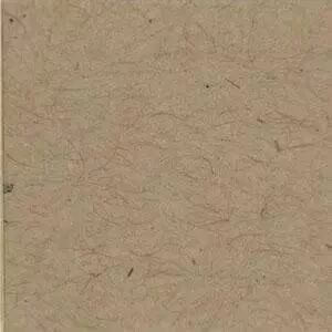 paquet de 25 Bazzills - Kraft clair - lisse