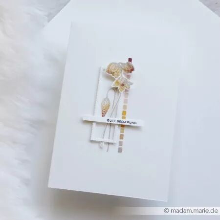 Rub-ons - Une danse florale - Alexandra Renke