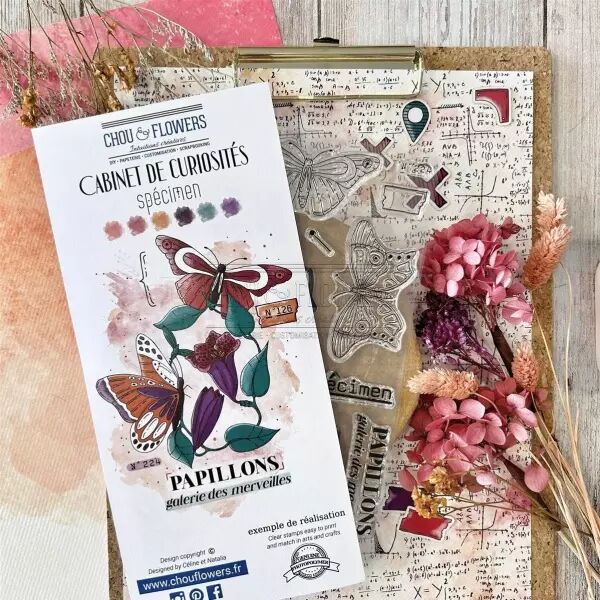 Tampon - Cabinet de Curiosit�s - Sp�cimen