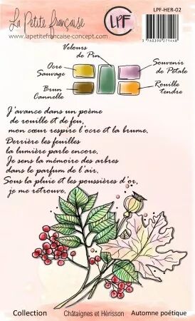 Tampon - Châtaignes et Hérisson - Automne poétique - La Petite Française