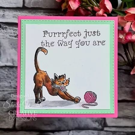 Tampon - Feline Good ! - Creative Exressions