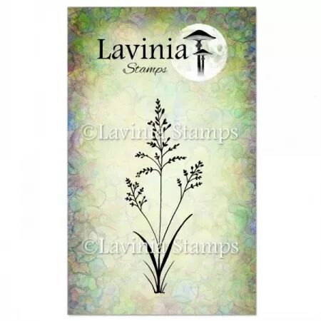 Tampon - field grass - herbe des champs - Lavinia