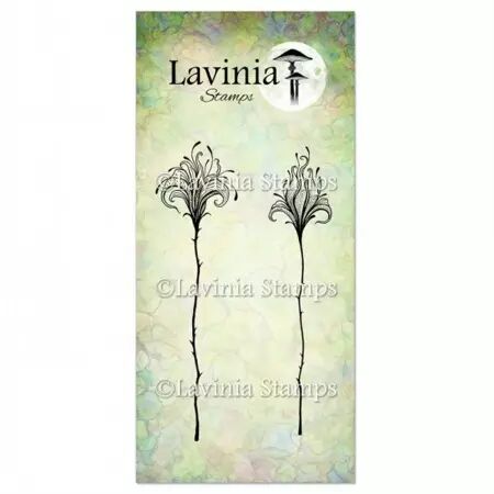 Tampon - Flower Divine Set