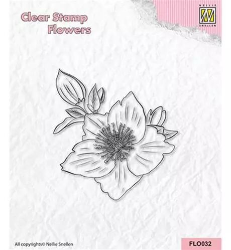Tampon - Helleborus
