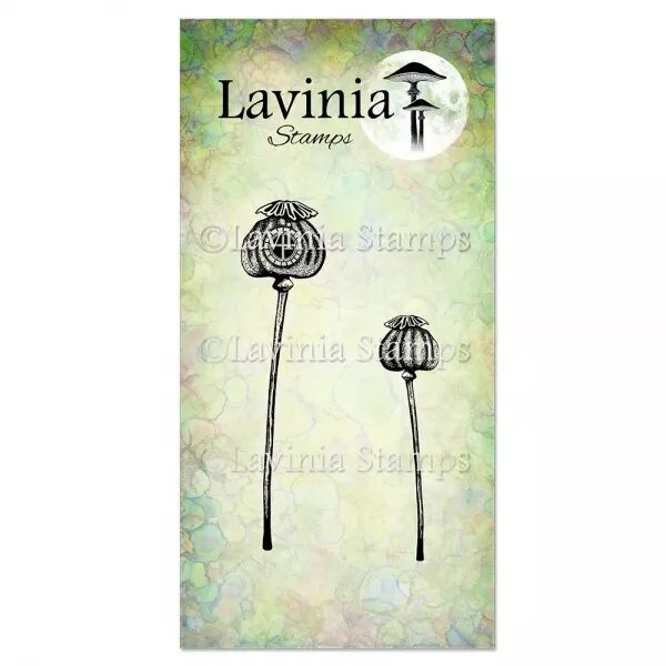 Tampon - Loges du Coquelicot - Lavinia