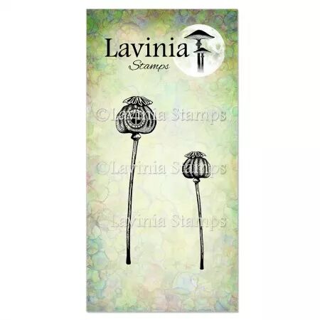 Tampon - Loges du Coquelicot - Lavinia