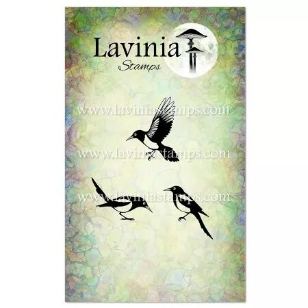 Tampon - Magpies - Pies - Lavinia