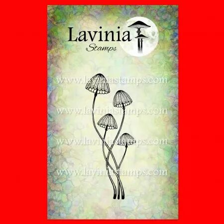 Tampon - Mushrooms - Faedew - champignons - Lavinia