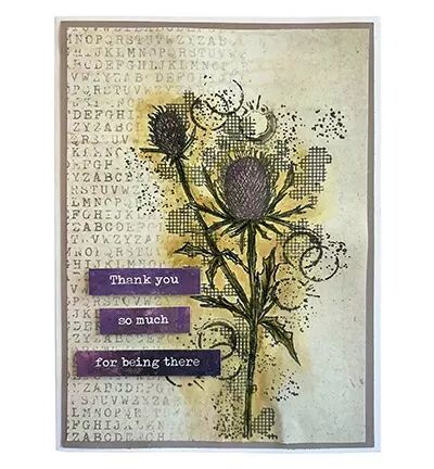 Tampon - Nature\'s dream 2 - Thistle 