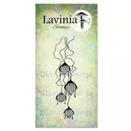 Tampon - Pixie Lanterns - Lavinia