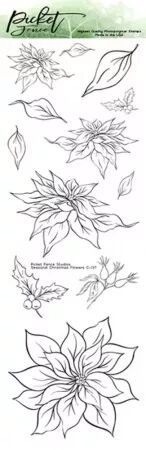 Tampon - Poinsettia