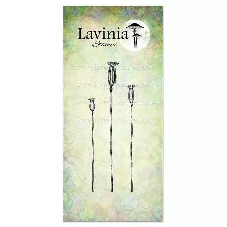 Tampon - Shadow pods - Lavinia