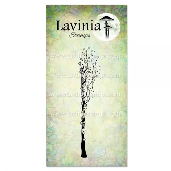 Tampon - silversong willow (droite) - saule f��rique  - Lavinia