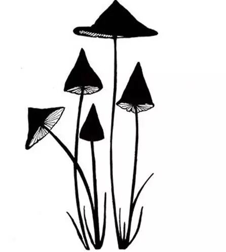 Tampon - Slender Mushrooms Mini