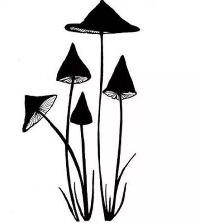 Tampon - Slender Mushrooms Mini