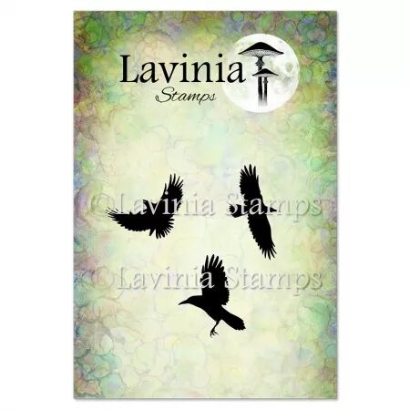 Tampon - The Coven of  Curiosities - Ravens - Lavinia